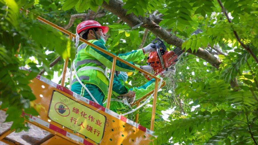 韶关绿化工程包括哪些项目