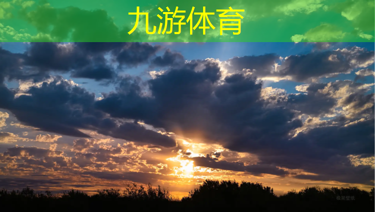 伊滨区兰台路绿化工程